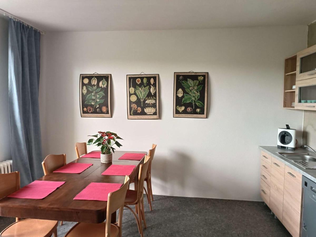 Apartmany Nad Splavem 兹诺伊莫 外观 照片